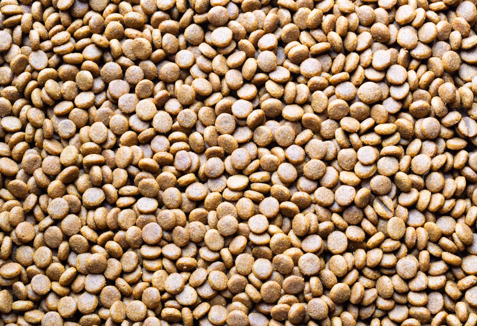 Ração para Roedores (500g)